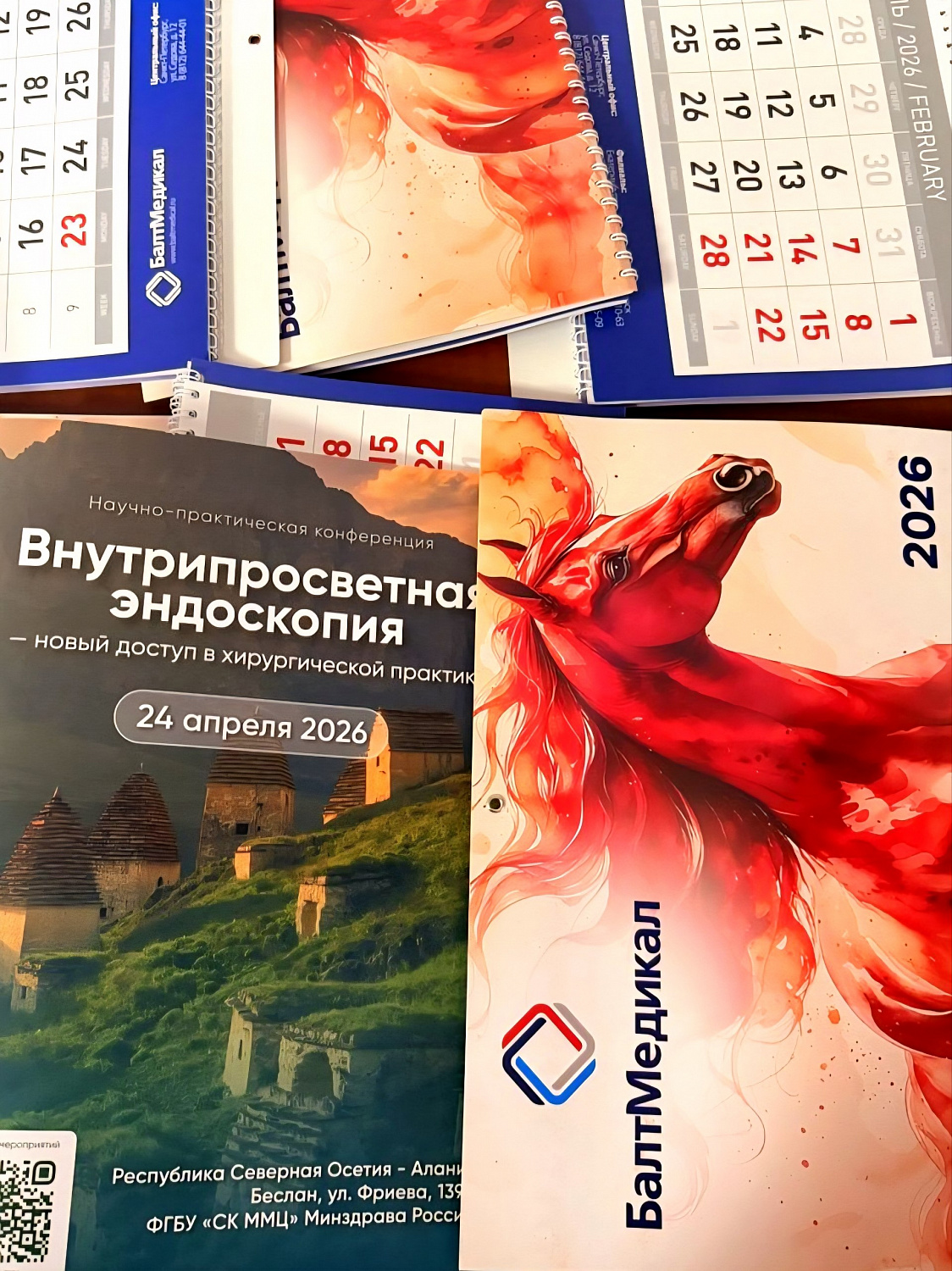 «Балт Медикал» на конференции по внутрипросветной эндоскопии в Беслане